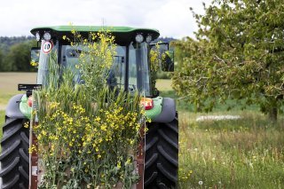 La Suisse doit réduire l'utilisation des pesticides de 50% d'ici 2027 (archives). KEYSTONE/ALEXANDRA WEY